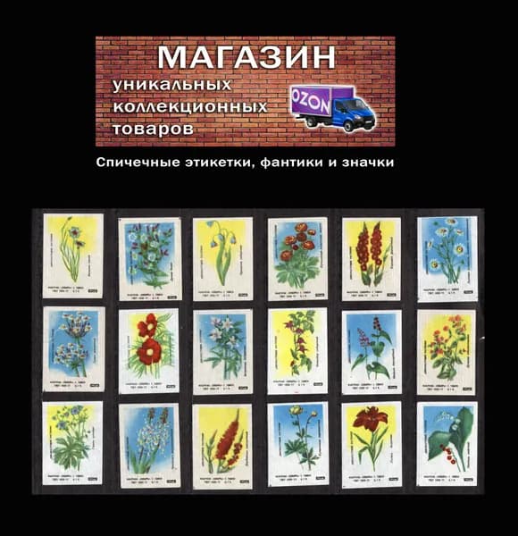 Спичечные этикетки СССР . Гост-77. Дикорастущие растения. Флора. Спичечная фабрика Сибирь.