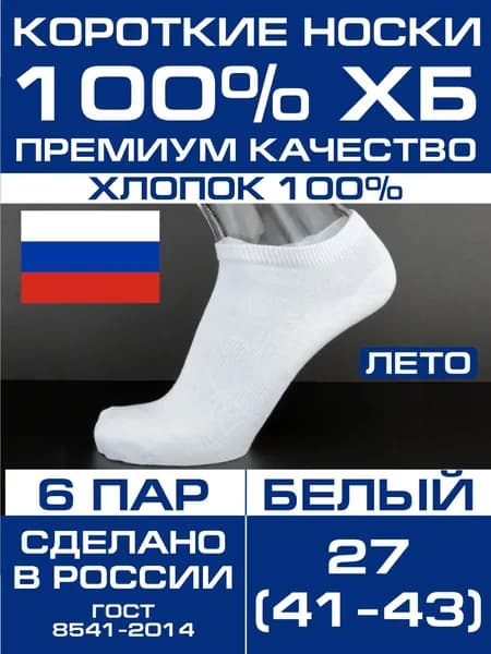 Носки Натур мужские 100% хлопок, 6 пар