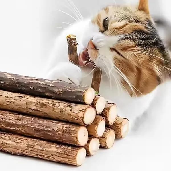 Игрушка для кошек, натуральная очищающая палочка прорезывания зубов
