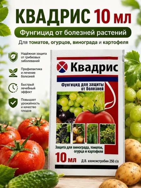 Квадрис фунгицид от фитофторы для растений 10 мл