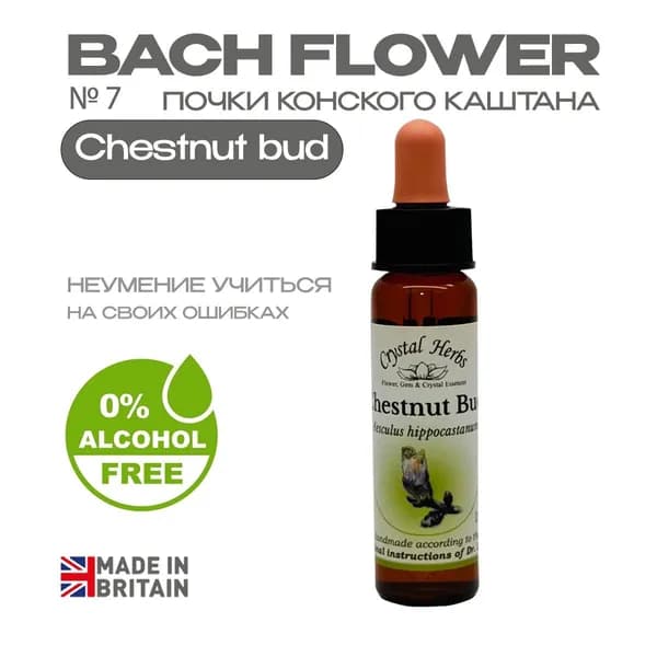 Бах. Эссенция БЕЗАЛКОГОЛЬНАЯ №7 Chestnut bud (Почки конского каштана) Честнат Бад - капли 10 мл. Англия