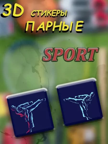 3D стикеры парные на телефон Тхэквондо