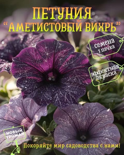 Петуния ампельная Аметистовый вихрь, семена, 10 шт.