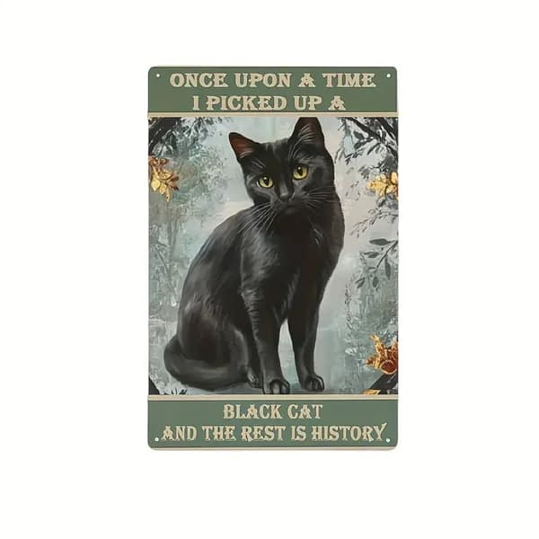 Табличка Винтажная табличка в стиле живописи "ONCE UPON A TIME I PICKED UP A BLACK CAT", бирюзовый фон, 2D плоский, металл, подарок для хозяев кошек.