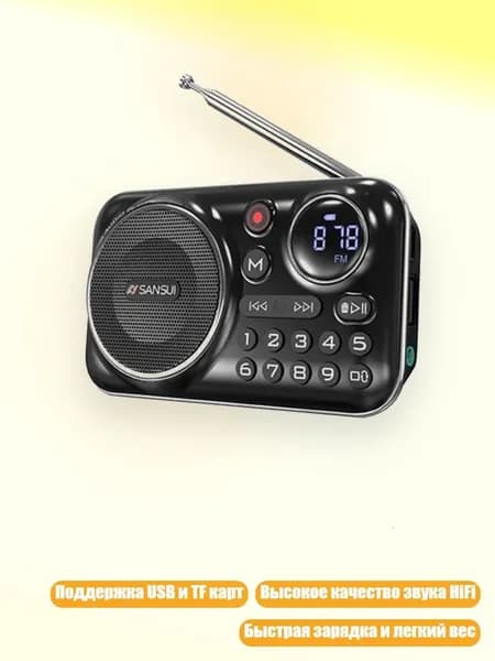 F21 FM-радио MP3-плеер с поддержкой USB/TF-карт, Черный