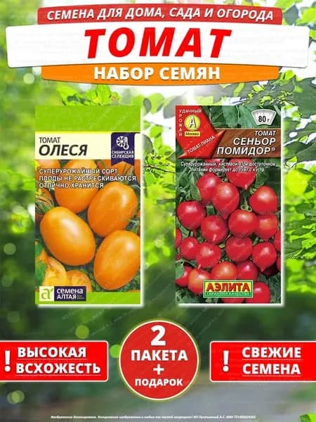 Семена томат для дома сада посадки