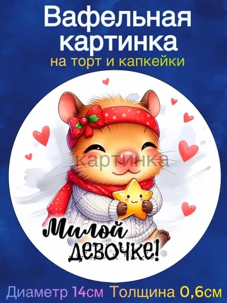 Вафельная картинка "Капибара. С Днем Рождения". Сладкая картинка, съедобная печать для декора торта, бенто-торта, украшения пряников и капкейков.