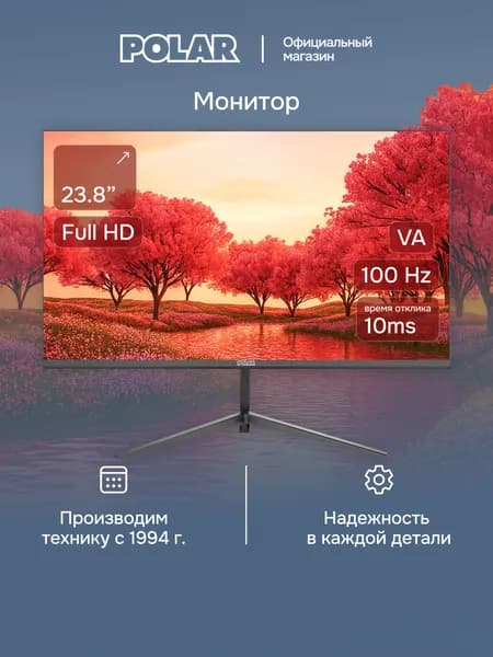 Polar 23.8" Монитор P24F13M (00-00022122), VA, 1920x1080 Full HD, 100 Гц, черный