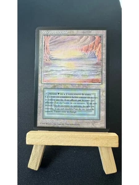 Заголовок: Волшебство в твоих руках: Уникальная карта Magic: The Gathering (MTG) с защитным протектором в подарок!