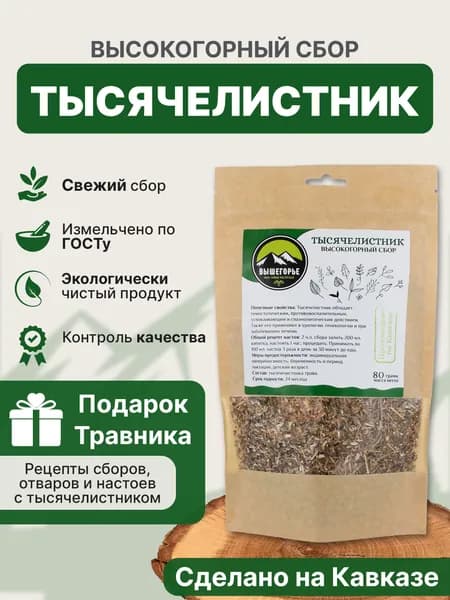 Тысячелистник (Высокогорный Кавказ) - Вышегорье.
