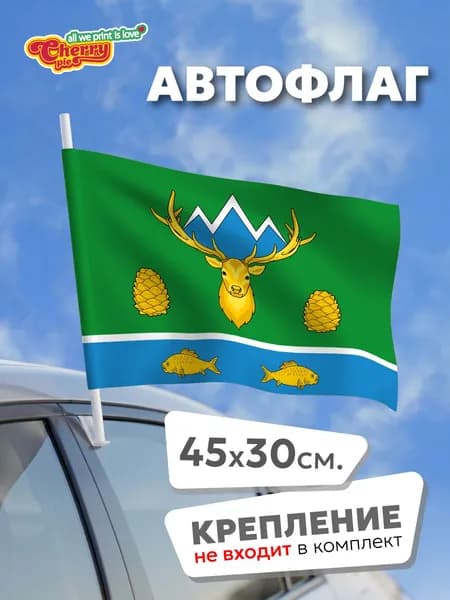 Флаг 45x30 Турочакский район (Алтай)