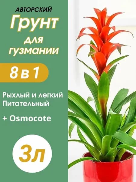 Грунт для Гузмании 3л готовый