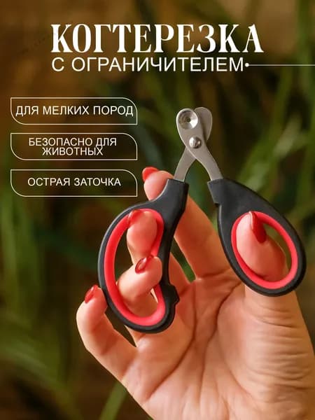 Когтерезка для кошек с ограничителем, ножницы для когтей кошек