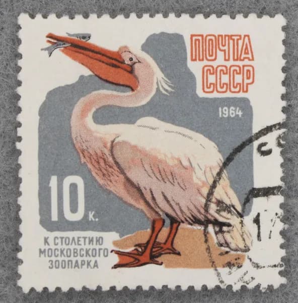 Почтовая марка "Пеликан". Номинал 10 коп. СССР. 1964 год. (Загорский 2960)
