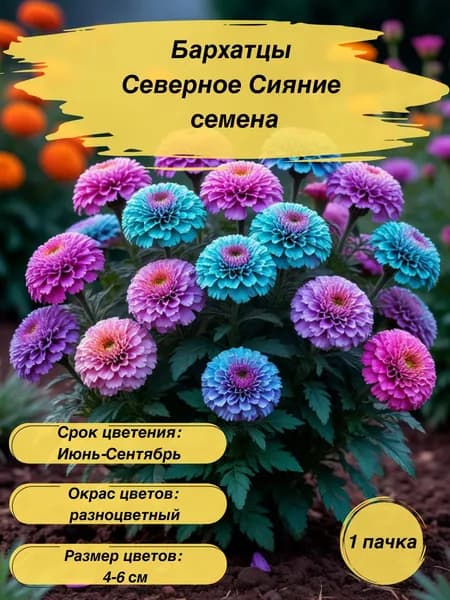 Бархатцы Северное Сияние, семена, 10 шт.