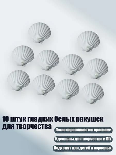 10 штук гладких белых ракушек для творчества, - Стиль C