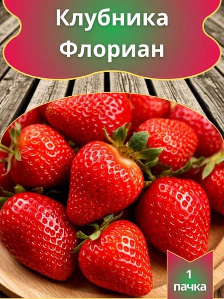 Клубника (земляника) ремонтная крупноплодная Флориан (семена)