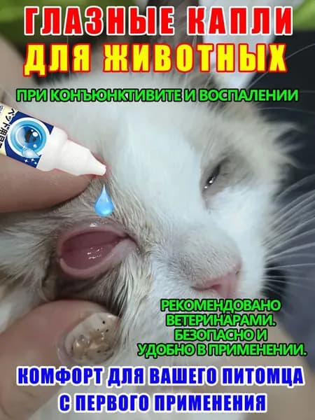 Глазные капли для кошек и собак для лечения конъюнктивита