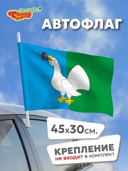 Флаг 45x30 Павинский район (Костромская область)