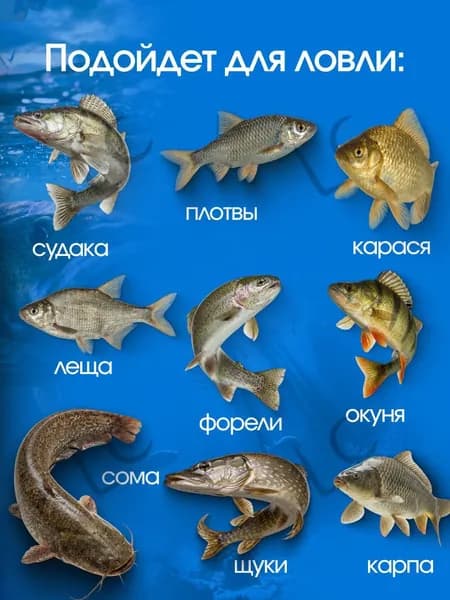 Катушка