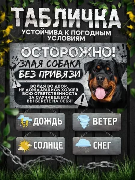 Табличка, на забор, DANGER DOG, Осторожно! Во дворе собака без привязи, Ротвейлер, 20x30 см