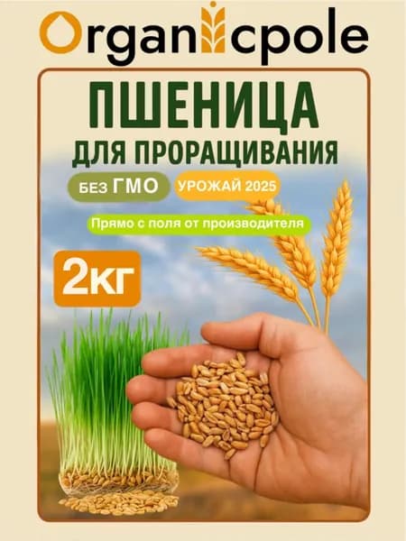 Пшеница для проращивания, 2 кг