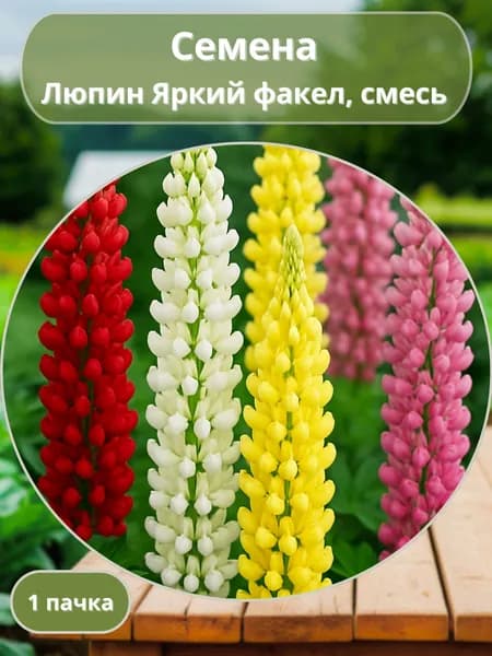 Люпин Яркий факел, смесь, семена 10 шт