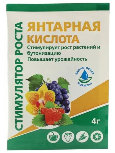 Удоберние БиоМастер Стимулятор роста Янтарная кислота, 4 г