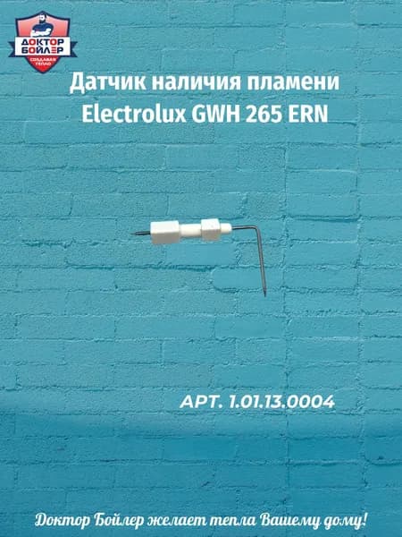 Датчик наличия пламени Electrolux GWH 265 ERN Nano Plus, Zanussi,Oazis,Neva 4610