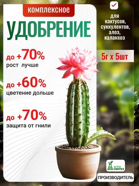 Весеннее удобрение для суккулентов, кактусов, алоэ, каланхое, рост и сила