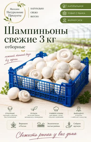 Грибы Шампиньоны Свежее 3000 г