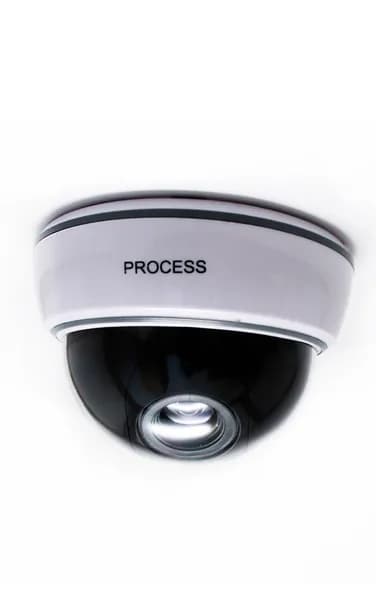 Муляж купольной видеокамеры Process