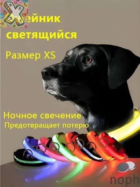 X-ingnoph для средних и крупных собак, ширина 2,0 см, с пряжкой, для щенков и взрослых собак, обхват шеи 28-38 см, размер XS, желтыйA