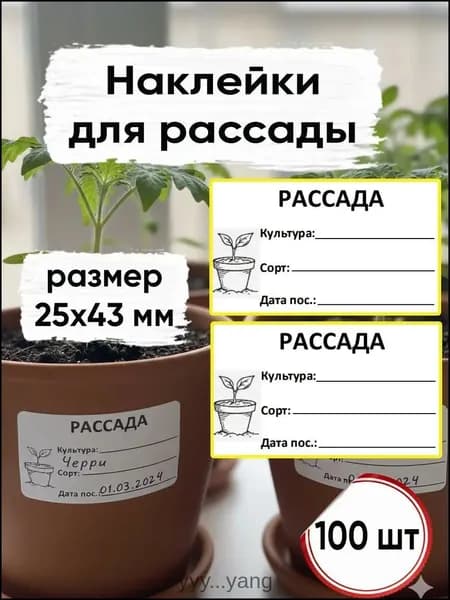 Этикетка для банок, бутылок 2.5 x 4.3 см, 100 шт.