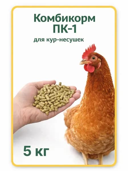Комбикорм для кур -несушек ПК-1 от 20 недель г.Смоленск