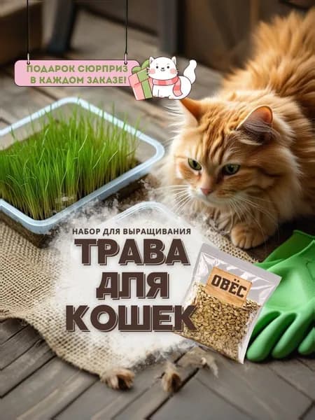 Трава для кошек - ОВЕС. Набор для выращивания / Полезно для питомцев
