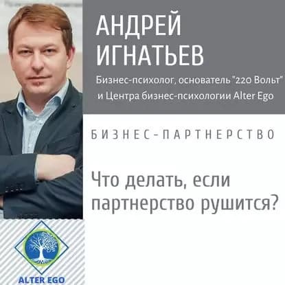 Что делать, если в вашем бизнес-партнерстве пошло что-то не так? | Игнатьев Андрей Владимирович | Электронная аудиокнига