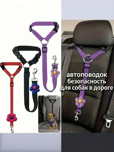 Авто-поводок для питомца: безопасность в пути, защита от выпрыгивания