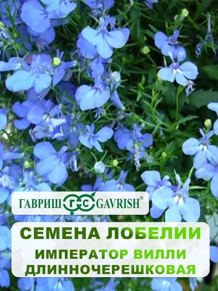 Семена Лобелии длинночерешковая "Император Вилли" 0,01 гр.