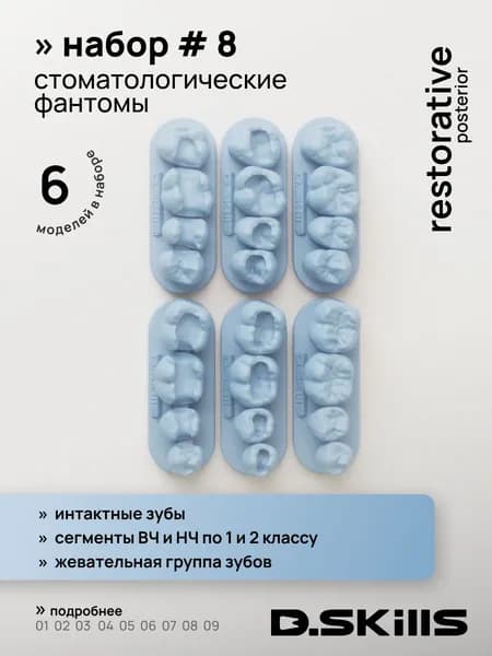 Набор №8 модели зубов для реставрации (препарированные + анатомия), 6шт, цвет - голубой