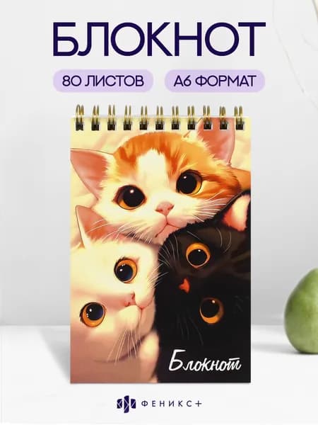 Блокнот А6 Феникс+ 80 листов, на пружине, клетка