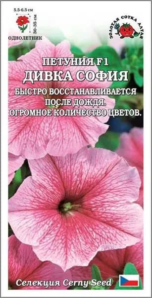 Петуния Дивка София F1 /Сотка/ 10шт/ h-35см d-6,5см/