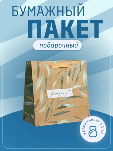 Пакет подарочный крафтовый "Present", 22х22х11 см, бумажный