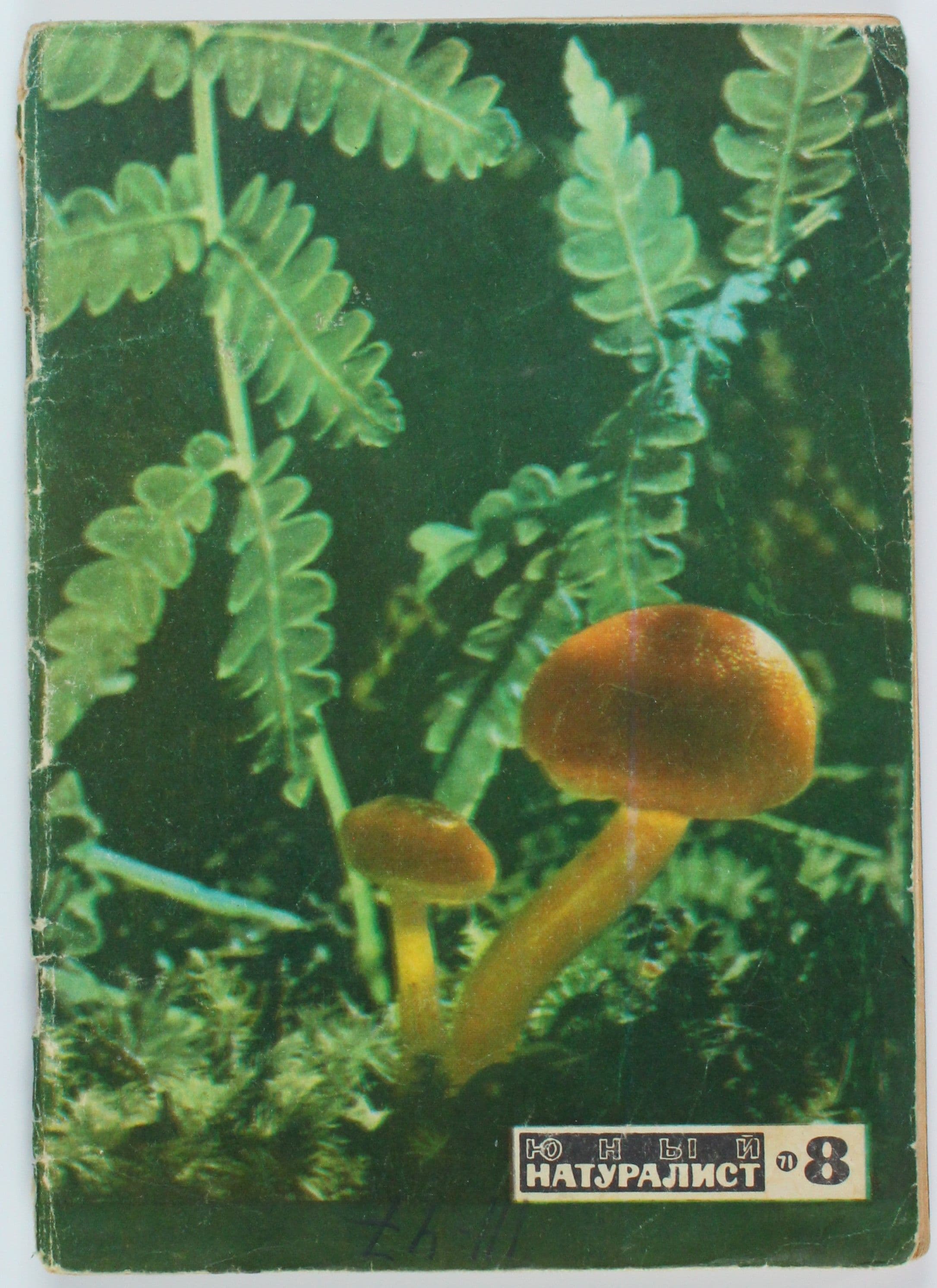 Винтажный журнал СССР Юный Натуралист, 1971 год
