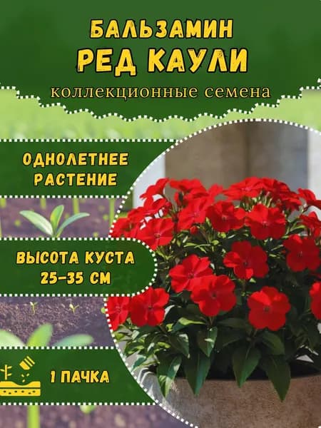 Семена Бальзамина "Ред Каули", 10 семян
