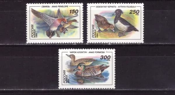 Россия, 1995. (0242-44) Утки ,
