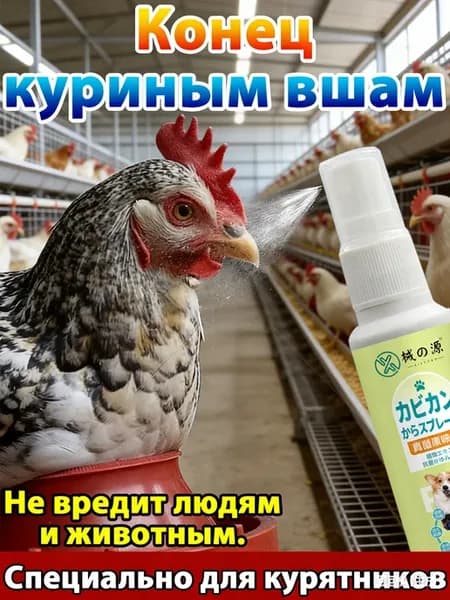 Средство от блох и вшей для кур и дома эффективное