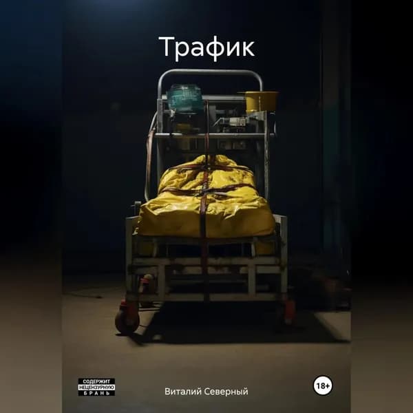 Трафик | Северный Виталий | Электронная аудиокнига