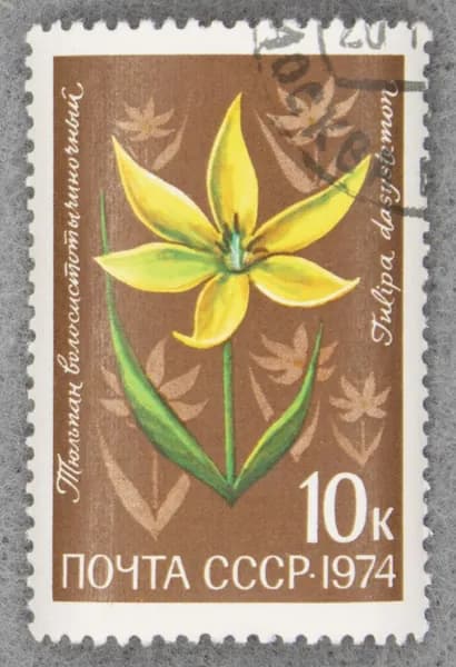 Почтовая марка "Тюльпан волосистотычиночный (Tulipa dasystemon)". Номинал 10 коп. СССР. 1974 год. (Загорский 4354)