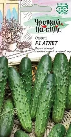 Семена Огурец Атлет F1, 10шт семян ., Гавриш, Самоопыляемый для подоконника и огорода